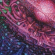 Kvetouc galaxie - detail 1