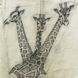 p�vodn� znak ZOO-SAFARI  Dv�r kr�lov� n. L.