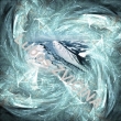 Koz� h�bety 1