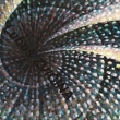 V�nice- detail 4