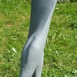 Tane�n�k detail 2