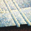 Stopa v sv�tle- detail 4