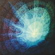 M E D � Z A  - acryl na pl�tn�; 100x100 cm;
