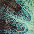 Med�za - detail 1